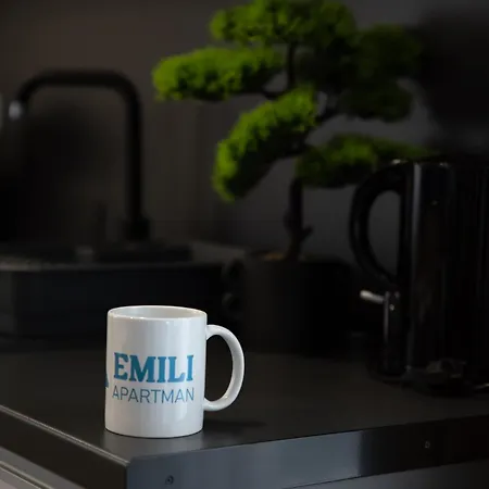 Hotel apartamentowy Uj - Emili Miskolctapolca - 27 Fore Miszkolc